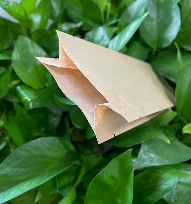 Parte trasera impresa personalizada sellada con bolsa de refuerzo lateral para pan, pastel, bocadillos, chips, envasado de alimentos con asa