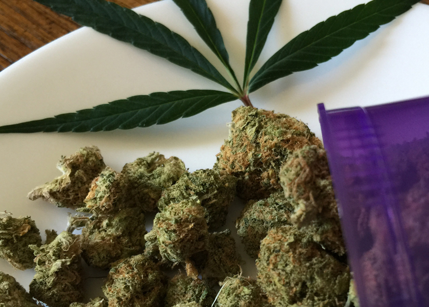 Embalaje de Mylar personalizable para gomitas de cannabis