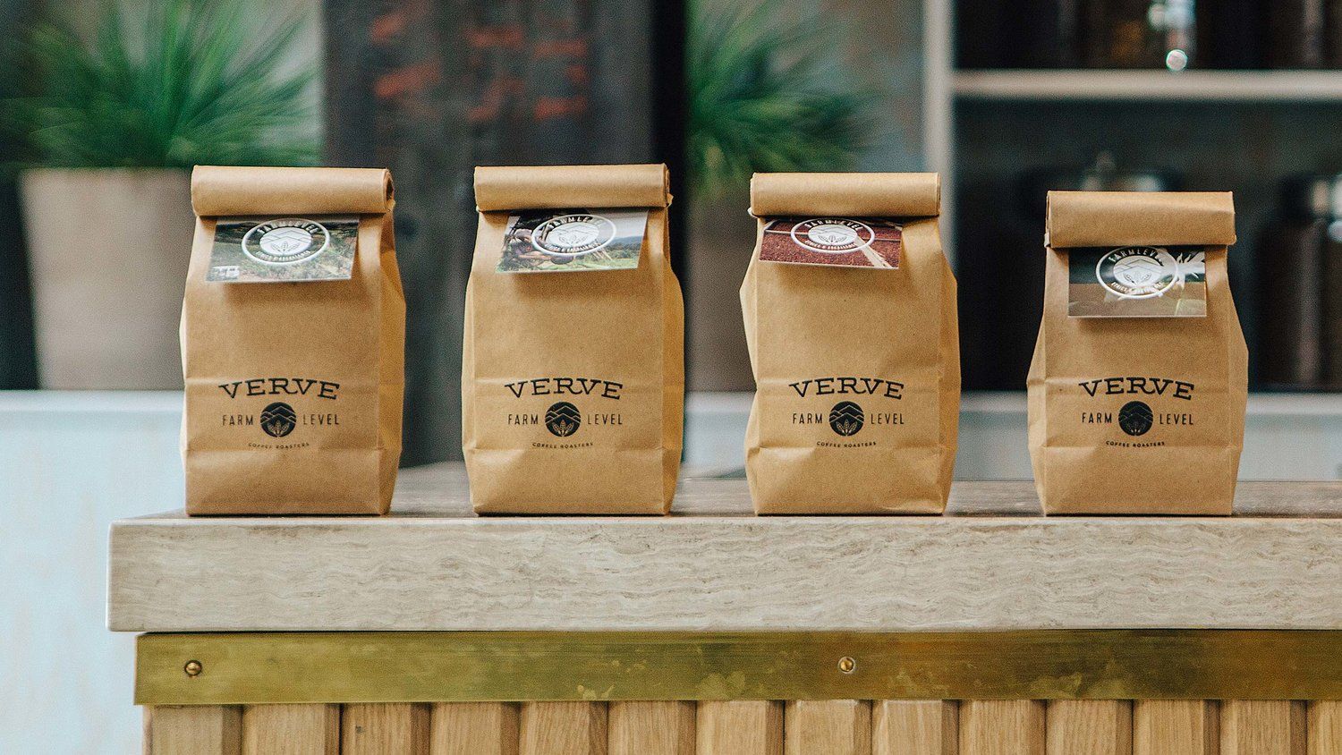 bolsa biodegradable