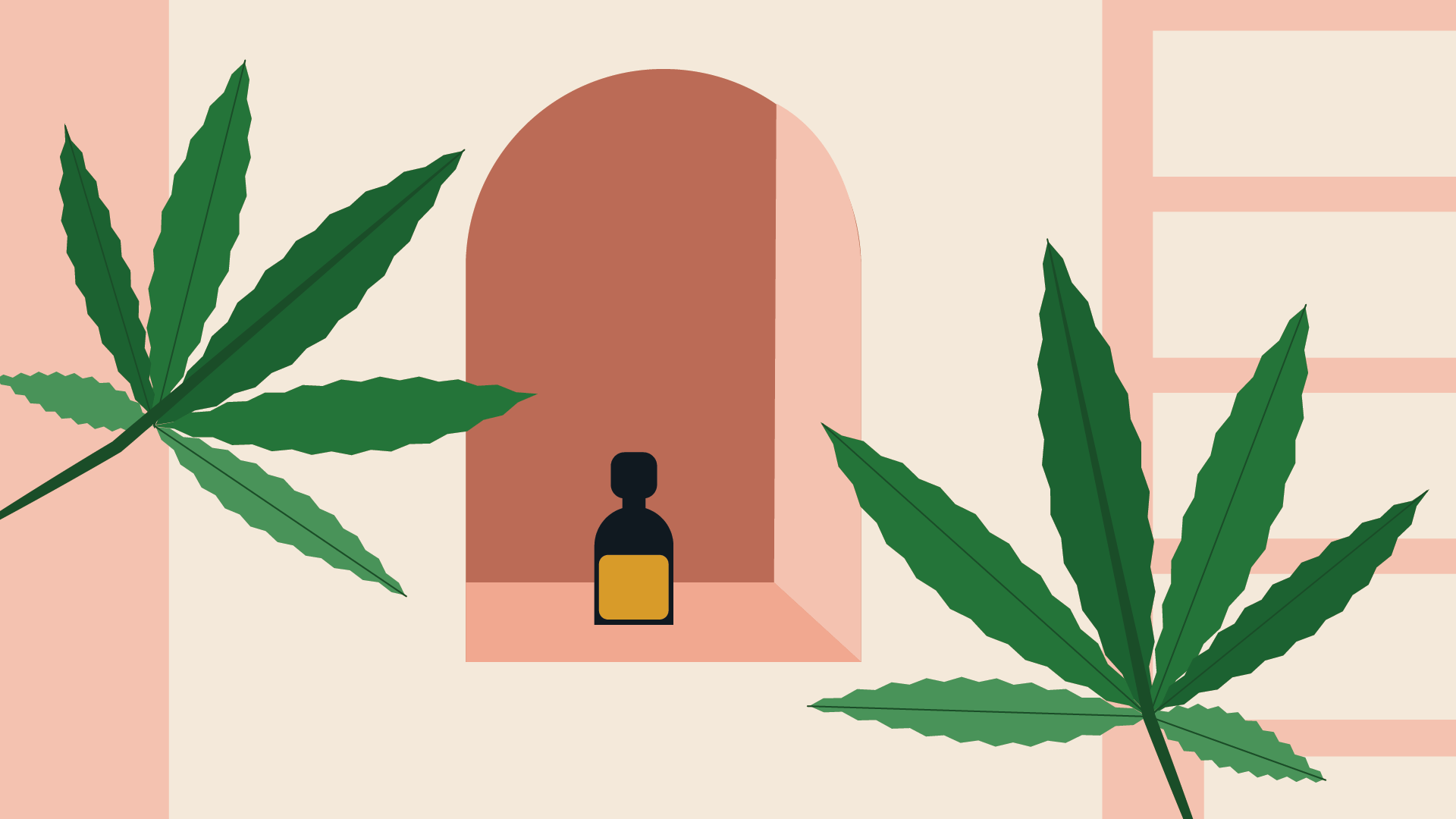 Embalaje de cannabis ecol&oacute;gico