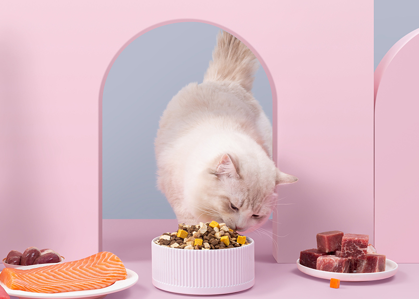 Embalaje sostenible para alimentos para mascotas