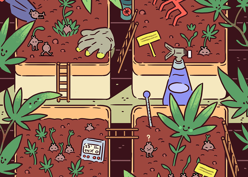 Embalaje loco de marihuana