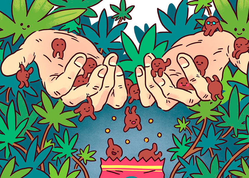 Proveedores de envases de cannabis mylar
