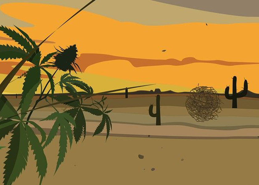 Embalaje THC listo para metraverse